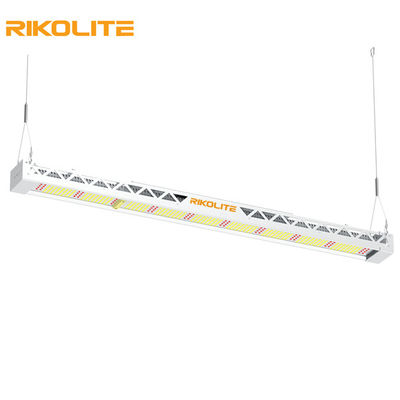 SMD3030 IP65 300w مصابيح نمو الطيف الكامل ، 1450umol / s مصباح LED لشريط الإضاءة