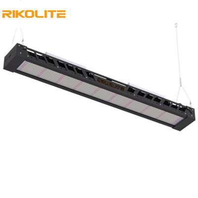 SMD3030 IP65 300w مصابيح نمو الطيف الكامل ، 1450umol / s مصباح LED لشريط الإضاءة