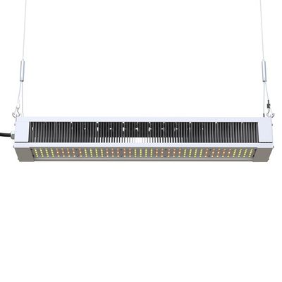 RikoLite 240W Full Spectrum LED Grow Bar Slim Bar ، AL1100 Horticulture LED Grow Lights