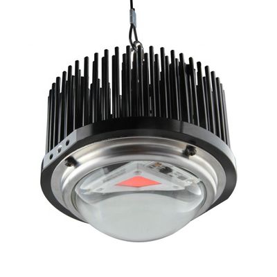 50W DOB محلية الصنع LED تنمو الاضواء ، Cob 1M2 الطيف الكامل تنمو مجموعات الضوء