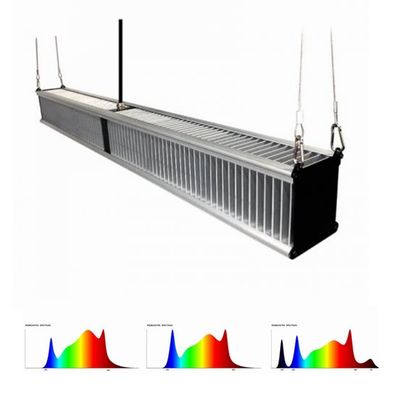 800 واط 2.7μMol / J Greenhouse Plant تنمو أضواء البستنة الهجين 1000w شريط سليم
