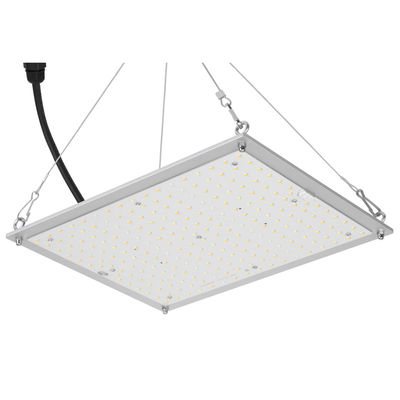 RikoLite 100W 277vac Hydroponics Led Grow Lights لوحة الكم 167.3umol / S.