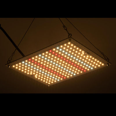 RikoLite 100W 277vac Hydroponics Led Grow Lights لوحة الكم 167.3umol / S.