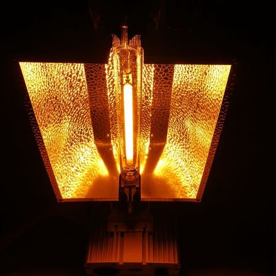 1000W HPS مزدوج النهاية تنمو أضواء التحكم عن بعد حلول الإضاءة 2100umol / ثانية