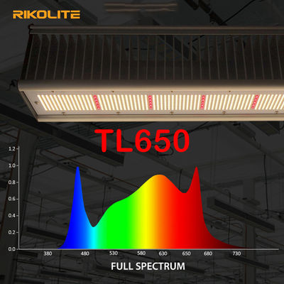 TL650 PAR 1755umol / S Greenhouse Led Grow Lights 630W للخضار / الزهور