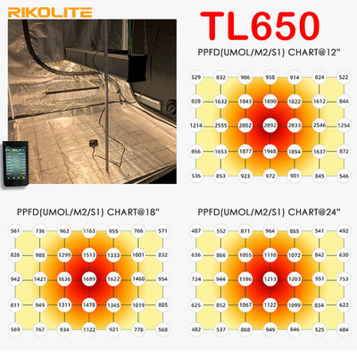 TL650 PAR 1755umol / S Greenhouse Led Grow Lights 630W للخضار / الزهور