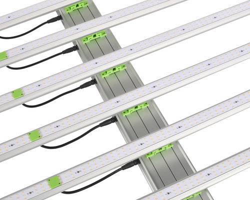 600W 1560μMol النبات LED تنمو الأضواء 6 أشرطة EPAR 380nm-760nm