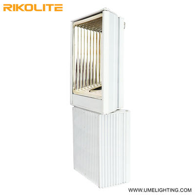 500W 900umol / s 265VAC CMH ينمو ضوء 208-277V مع لمبة 3000K