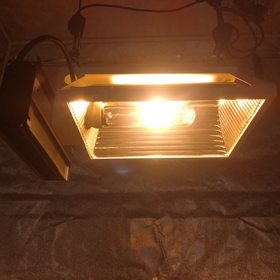 Air PAR Plus CMH 150W أفقي تنمو ضوء لاعبا اساسيا ل 2X2 تنمو خيمة