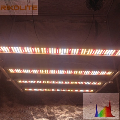 Galaxy 2835SMD LED 240W 4 قضبان قابلة للطي تنمو النباتات 0-10V عكس الضوء