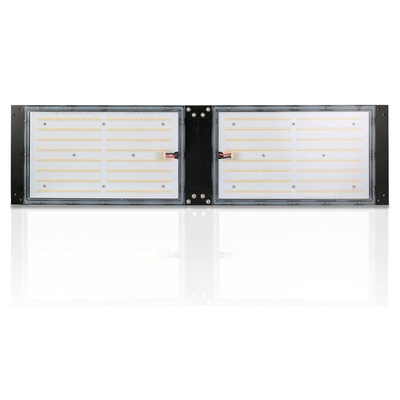 ماء IP65 LED عشب تنمو ضوء 240W SAMSUNG لوحة الكم للزراعة
