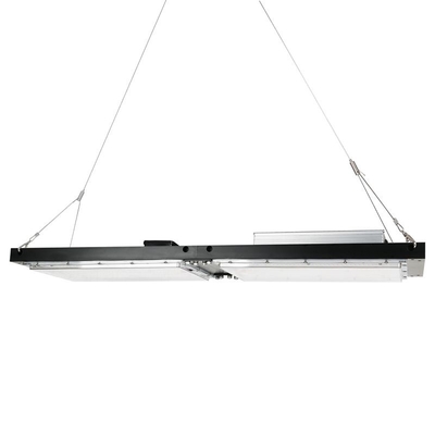 ماء IP65 LED عشب تنمو ضوء 240W SAMSUNG لوحة الكم للزراعة