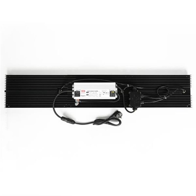 الزراعة المائية LED الكم تنمو أضواء IP65 320w الطيف الكامل للخضروات