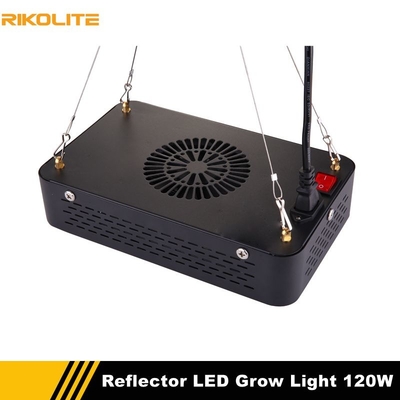 120w 510umol تنمو أضواء النباتات الداخلية ، أضواء الطيف الكامل Hydro Grow