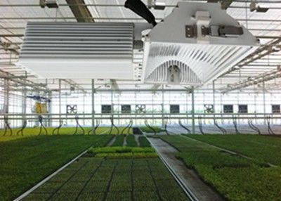 1050µMol / S HID LED تنمو الاضواء ، 630W المحاصيل هاليد معدن السيراميك تنمو ضوء