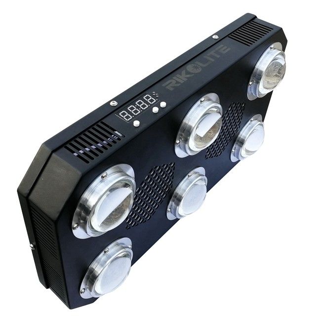 300W 4.2kgs LED COB تنمو ضوء المزهرة بالوعة الحرارة لوحة مروحة 24 ساعة التبديل 300 واط Led تنمو ضوء