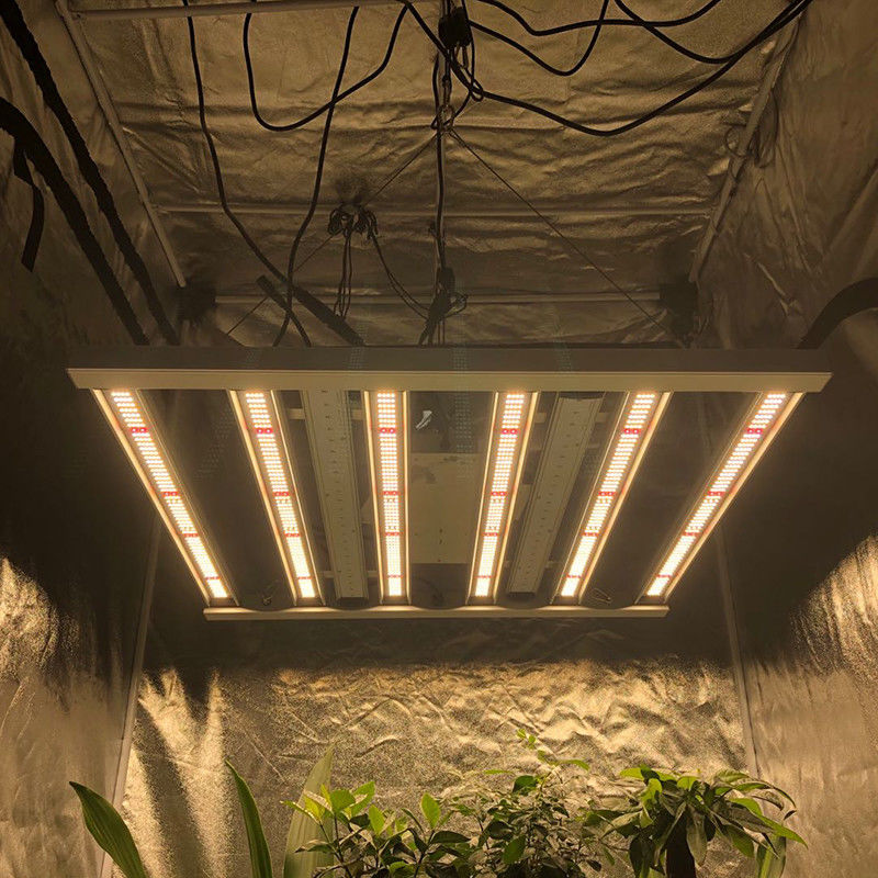 35 درجة مئوية البستنة الصمام تنمو الاضواء 480W 6 عمود 2.6μMol / J أضواء بار